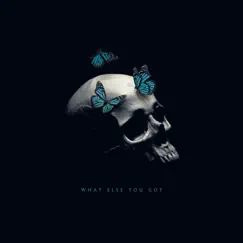 What Else You Got - Single by The Protest album reviews, ratings, credits