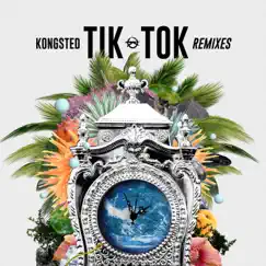 Tik Tok (Lynx Remix) Song Lyrics