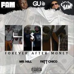 Forever After Money (F.A.M.) by Mr Hill & Fatt Chico da Plug album reviews, ratings, credits