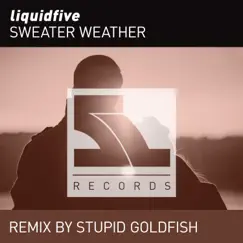 Sweater Weather (Stupid Goldfish Extended Remix) Song Lyrics
