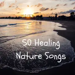 50 Healing Nature Songs - Third Eye Opening, Calming Waterfall & Sea Sounds by Eyes of Buddha & Anti Stress album reviews, ratings, credits