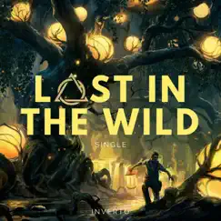 Lost in the Wild Song Lyrics