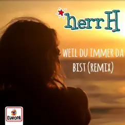 Weil du immer da bist (Diggi Remix) Song Lyrics