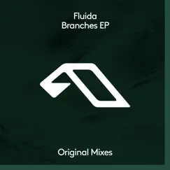 Branches - EP by Fluida album reviews, ratings, credits