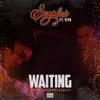 Waiting (feat. Siya) - Single album lyrics, reviews, download