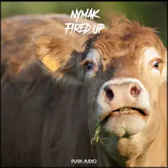 Fired Up - Single by Nymak album reviews, ratings, credits