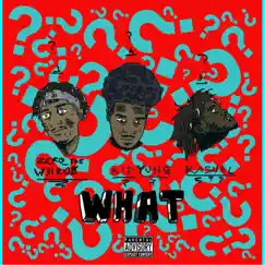 What (feat. Zero_theweirdo & Kasual) - Single by Kid Yung album reviews, ratings, credits