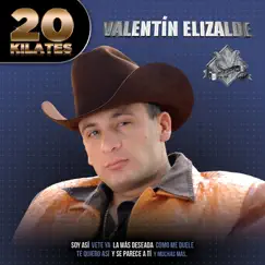 20 Kilates by Valentín Elizalde album reviews, ratings, credits