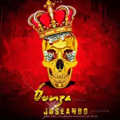 Joseando - Single by Gonza album reviews, ratings, credits
