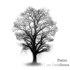 I Am Deciduous by Pietro album reviews, ratings, credits