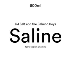 Saline Song Lyrics