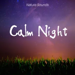 Relaxation Music Song Lyrics