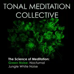 Green Noise: Nocturnal Jungle White Noise by Tonal Meditation Collective album reviews, ratings, credits