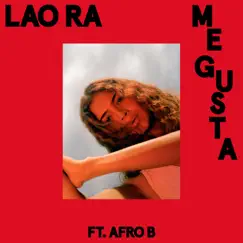 Me Gusta (feat. Afro B) Song Lyrics