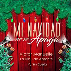 Mi Navidad No Se Apaga (feat. La Tribu de Abrante & Pj Sin Suela) Song Lyrics