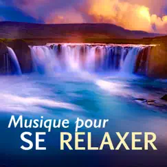 Musique pour se relaxer by Camille Enyal & Musique Zen Garden album reviews, ratings, credits
