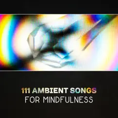 111 Ambient Songs for Mindfulness – Stress Relief, Best Meditation Music, Zen Yoga, Amazing New Age, Mindfulness Therapy, Stress Reduction, Yoga for Calming Down, Instant Relief, Oriental Sounds by Odyssey for Relax Music Universe album reviews, ratings, credits