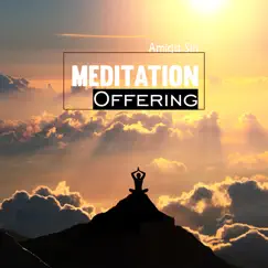 Meditation Offering by Amida Sin album reviews, ratings, credits