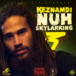 Nuh Skylarking - Single by Keznamdi album reviews, ratings, credits