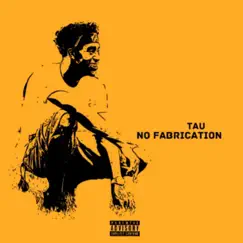 No Fabrication - Single by Tau album reviews, ratings, credits