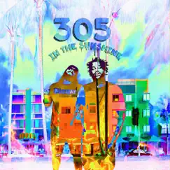 305° In the Sunshine - EP by Prez P album reviews, ratings, credits