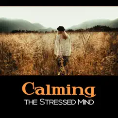 Calming the Stressed Mind – 111 Relaxing Songs, Panic Attacks Relief, Stop Worrying, Optimistic Music, Mood Improvement, Positive Attitude, Social Anxiety Help by Positive Energy Academy album reviews, ratings, credits