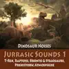 Jurrassic Sounds 1 - Dinosaur Noises: T-Rex, Raptors, Bronto & Stegosaurs, Prehistoric Atmosphere album lyrics, reviews, download