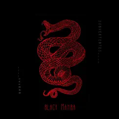 Black Mamba - Single by SubVertentes album reviews, ratings, credits