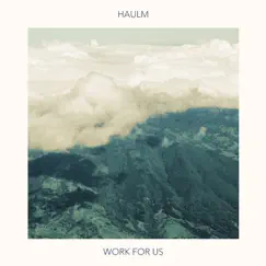 Work for Us - Single by Haulm album reviews, ratings, credits