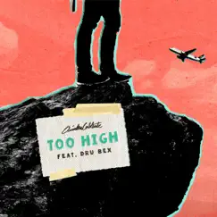 Too High (feat. Dru Bex) - Single by Quinten Coblentz album reviews, ratings, credits