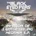 Invasion of I Gotta Feeling (Megamix) - EP album cover