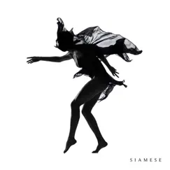 Siamese by Siamese album reviews, ratings, credits