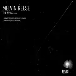 The Abyss (The Remixes) - Single by Melvin Reese album reviews, ratings, credits