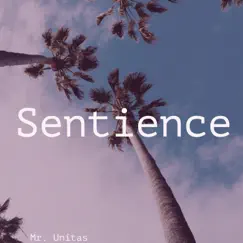 Sentience Song Lyrics