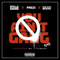 You Ain't Gang (Remix) [feat. Prezi & Cash Click Boog] - Single by Dolla Dame album reviews, ratings, credits