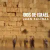 Quiero (En Vivo) [feat. Justo Lamas] song lyrics