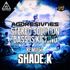 Bass Is Kicking (Shade K Remix) Song Lyrics