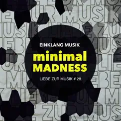 Minimal Madness - EP by Einklang Musik album reviews, ratings, credits