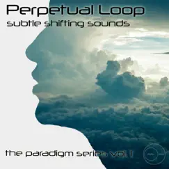 Subtle Shifting Sounds: The Paradigm Series, Vol. 1 by Perpetual Loop album reviews, ratings, credits