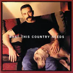 What This Country Needs by Aaron Tippin album reviews, ratings, credits