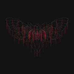 Moth by John Beltran album reviews, ratings, credits