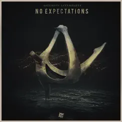 No Expectations Song Lyrics