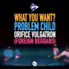 WHAT YOU WANT? (feat. Orifice Vulgatron & ILLAMAN) - Single album lyrics, reviews, download