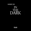 In the Dark - Single album lyrics, reviews, download