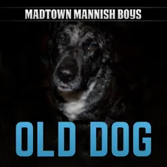 Old Dog by Madtown Mannish Boys album reviews, ratings, credits