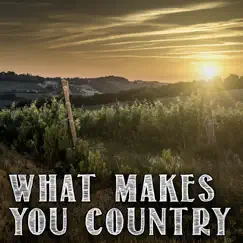 What Makes You Country (Instrumental) - Single by KPH album reviews, ratings, credits
