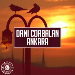 Ankara Song Lyrics