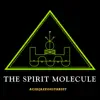 The Spirit Molecule album lyrics, reviews, download