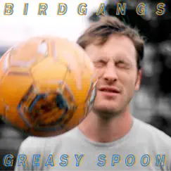Greasy Spoon - Single by Birdgangs album reviews, ratings, credits