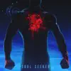 Soul Seeker - Single album lyrics, reviews, download